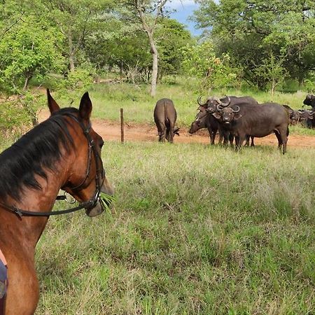 Wild Ride Safaris And Bush Camp Villa Hoedspruit Esterno foto