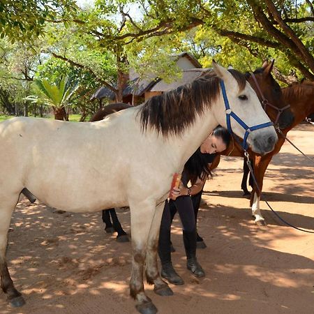Wild Ride Safaris And Bush Camp Villa Hoedspruit Esterno foto