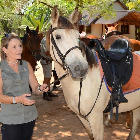 Wild Ride Safaris And Bush Camp Villa Hoedspruit Esterno foto