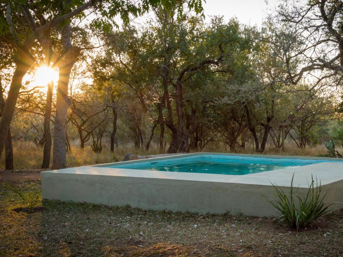 Wild Ride Safaris And Bush Camp Villa Hoedspruit Esterno foto