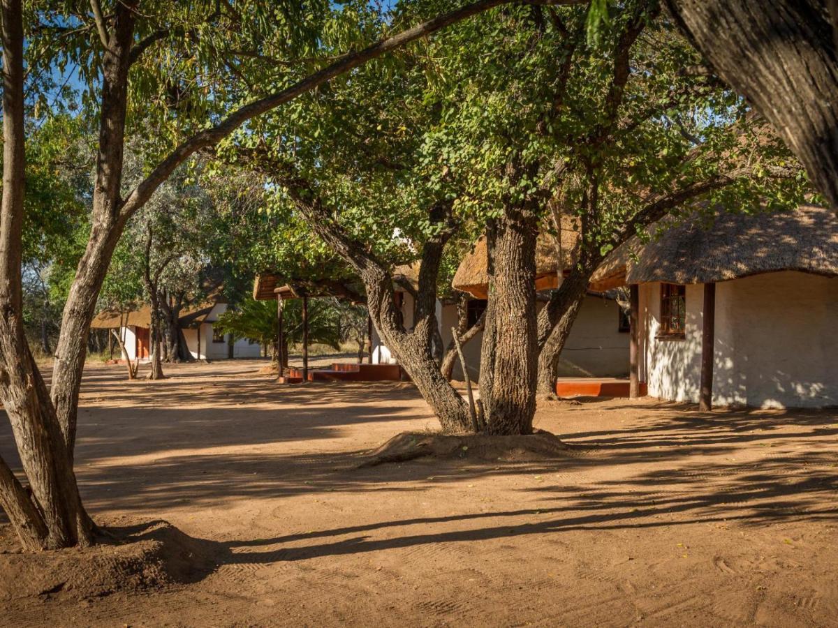Wild Ride Safaris And Bush Camp Villa Hoedspruit Esterno foto