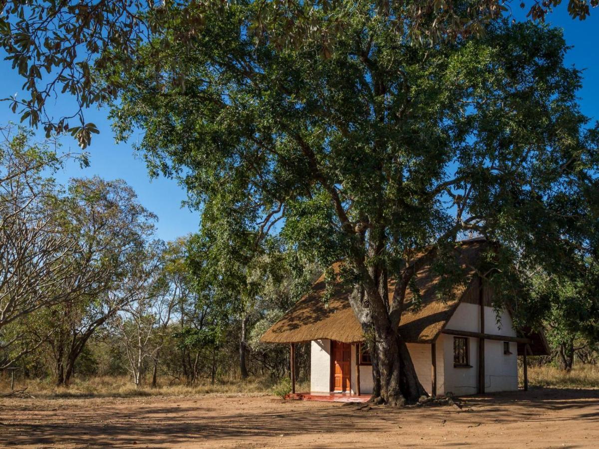 Wild Ride Safaris And Bush Camp Villa Hoedspruit Esterno foto
