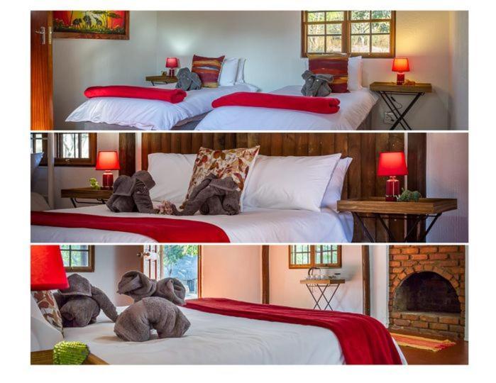 Wild Ride Safaris And Bush Camp Villa Hoedspruit Esterno foto