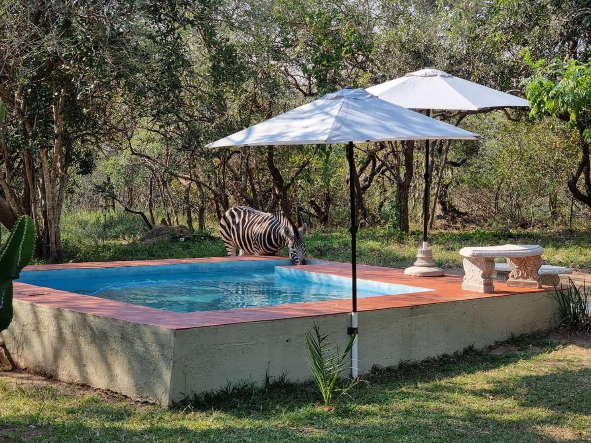 Wild Ride Safaris And Bush Camp Villa Hoedspruit Esterno foto