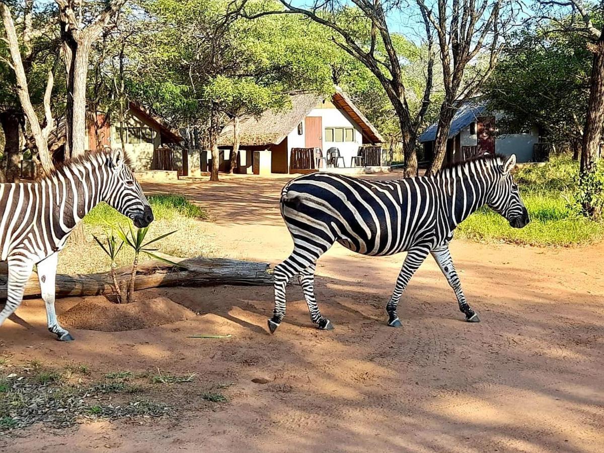 Wild Ride Safaris And Bush Camp Villa Hoedspruit Esterno foto