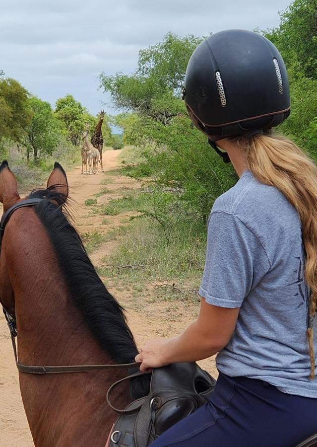 Wild Ride Safaris And Bush Camp Villa Hoedspruit Esterno foto
