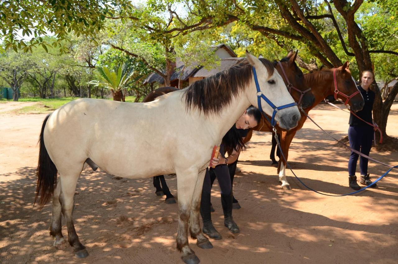 Wild Ride Safaris And Bush Camp Villa Hoedspruit Esterno foto