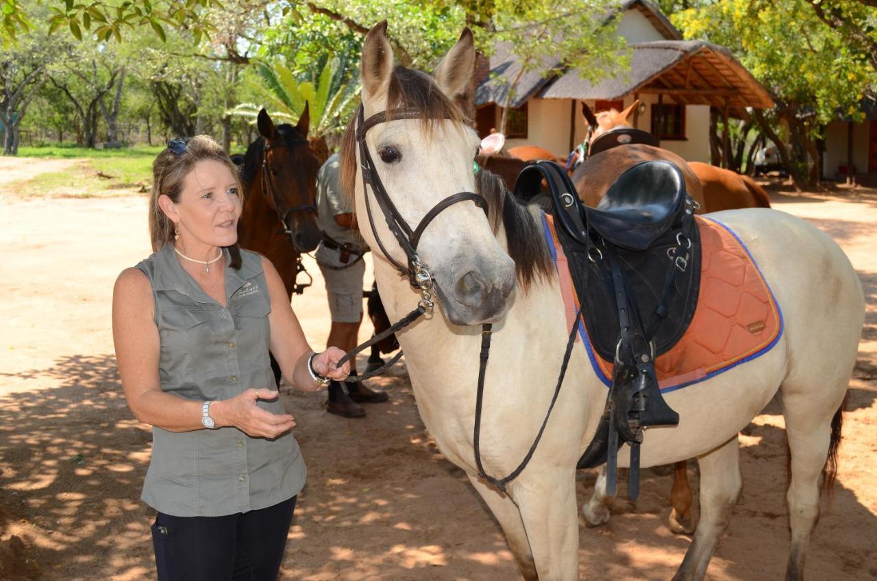 Wild Ride Safaris And Bush Camp Villa Hoedspruit Esterno foto