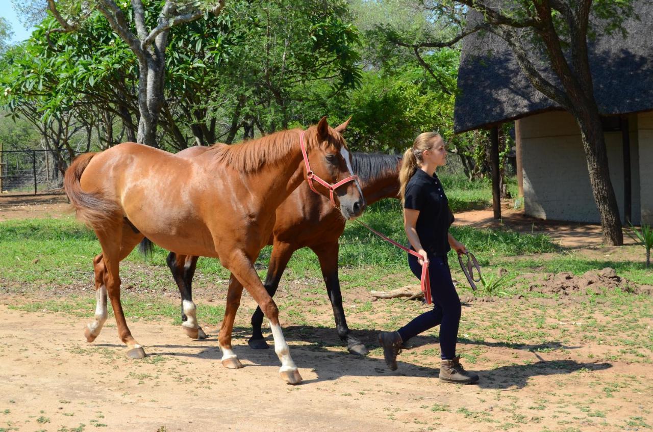 Wild Ride Safaris And Bush Camp Villa Hoedspruit Esterno foto